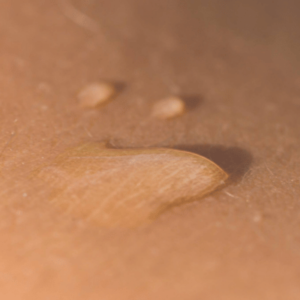 La peau, article La crème du BIO