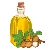 Huile de macadamia bio