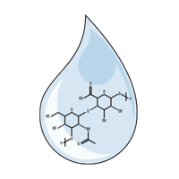 Acide hyaluronique