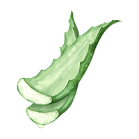 Aloe vera bio