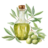 Huile d'olive bio