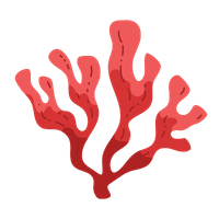 Alga-Sendatu algue rouge