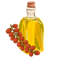 Huile de buriti bio