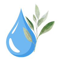 Eau florale de sauge bio