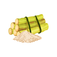 Sucre de canne bio
