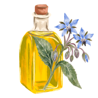 Huile de bourrache bio crème réparatrice bio Laboratoires de Biarritz
